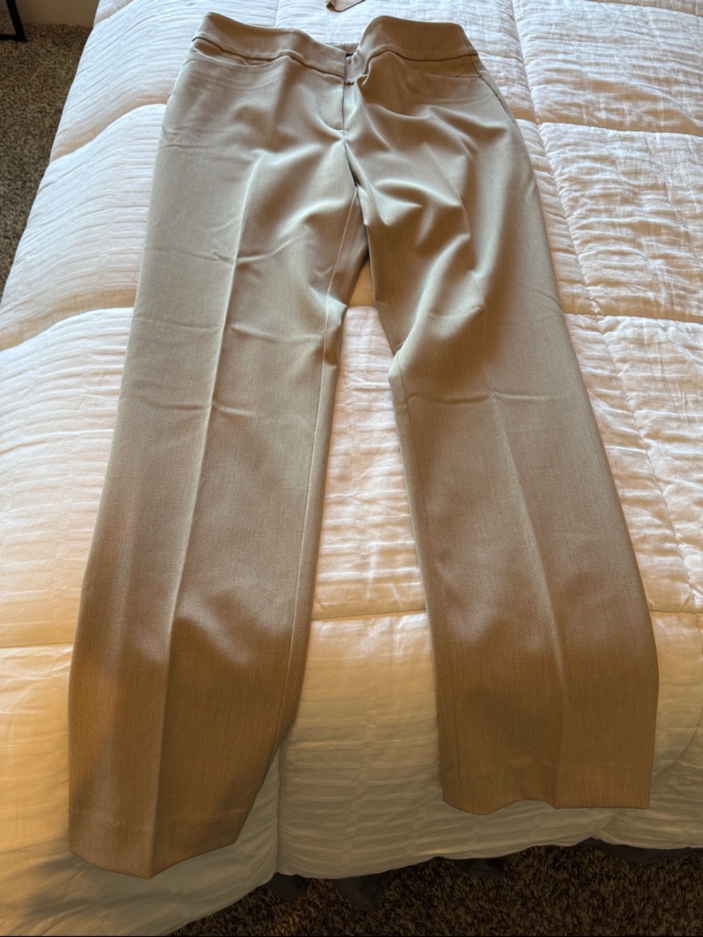 Women’s Tailored Dress Pants in Tan